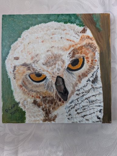 Owl peering out from the side of a tree