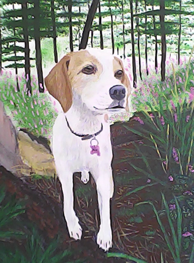 Beagle stood looking out with a wood in the background
