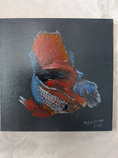Siamese fish on a black background